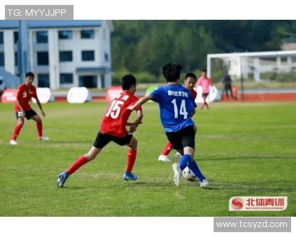 全球足球巨星风采展览精彩瞬间回顾与分析