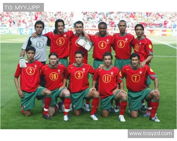 法国足球明星前十名盘点与他们的辉煌成就分析