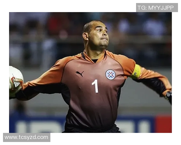 瑞典足球传奇人物盘点揭秘最著名的足球明星与他们的辉煌成就